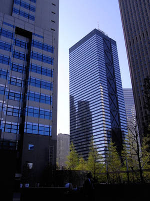 R0010019.jpg