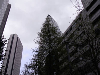 R0010036-23.jpg