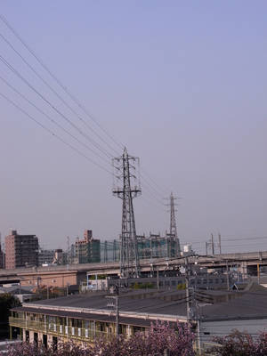 R0010162.jpg