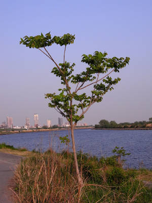 R0010190.jpg