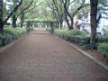 photos002-02s.jpg