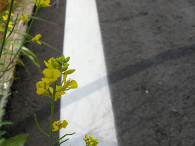 DSCN0060.jpg