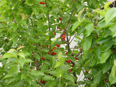 DSCN0067.jpg
