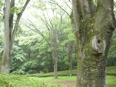 DSCN0101.jpg