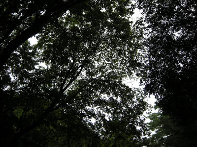 DSCN0109.jpg