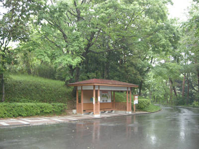 DSCN0115.jpg