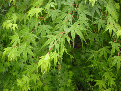 DSCN0121.jpg
