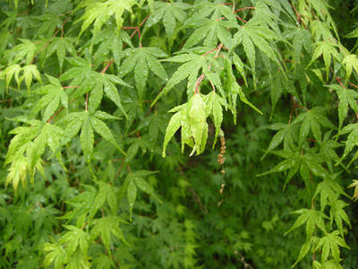 DSCN0123.jpg
