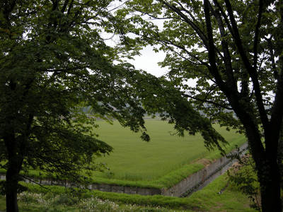DSCN0129.jpg