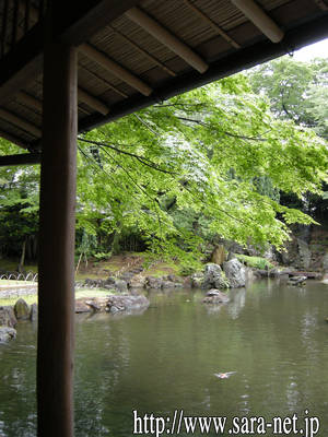 DSCN0224.jpg