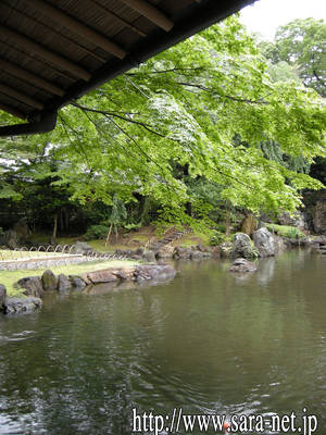 DSCN0225.jpg