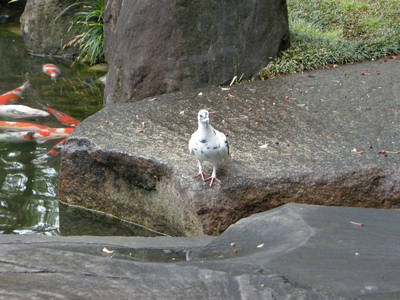 DSCN0227.jpg