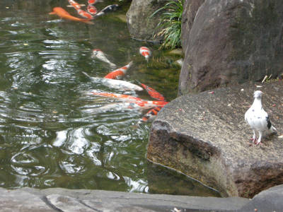 DSCN0228.jpg