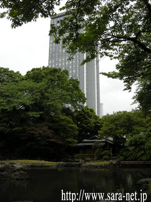 DSCN0234.jpg