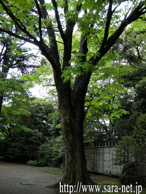 DSCN0235.jpg