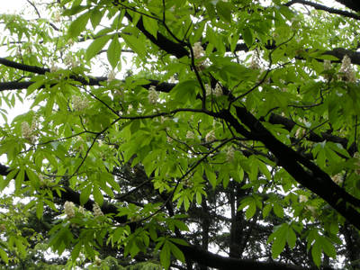 DSCN0236.jpg