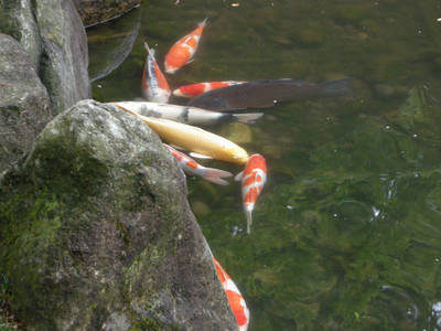 DSCN0237.jpg