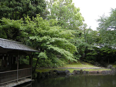 DSCN0238.jpg