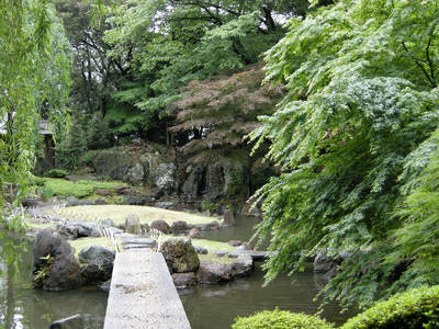 DSCN0241.jpg