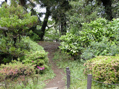 DSCN0365.jpg