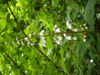 DSCN0374.jpg