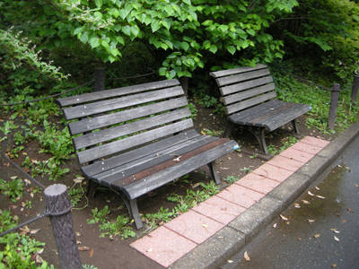 DSCN0375.jpg