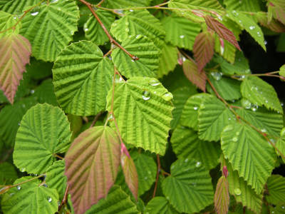 DSCN0376.jpg