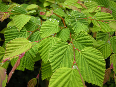 DSCN0377.jpg