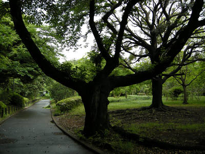 DSCN0383.jpg