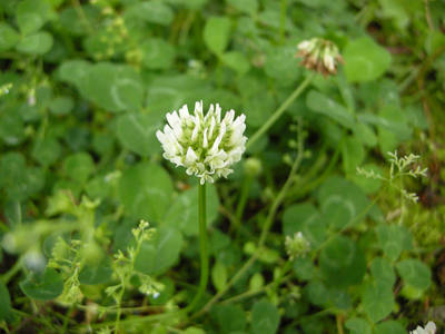 DSCN0386.jpg