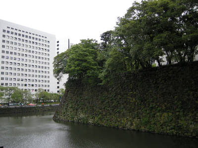 DSCN0399.jpg