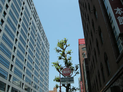 DSCN0407.jpg