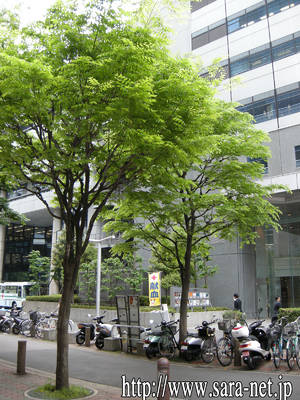 DSCN0456.jpg