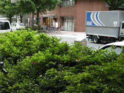 DSCN0460.jpg