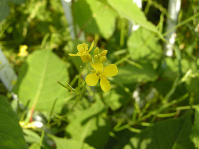 DSCN0505.jpg
