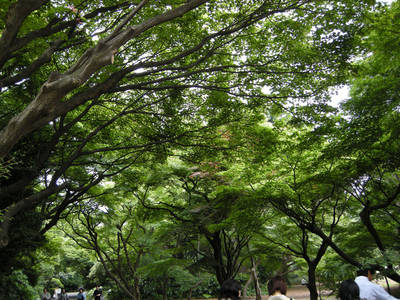 DSCN0519.jpg