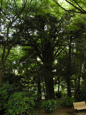 DSCN0539.jpg
