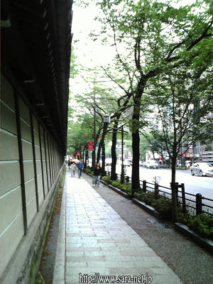 PICT0011-42.jpg