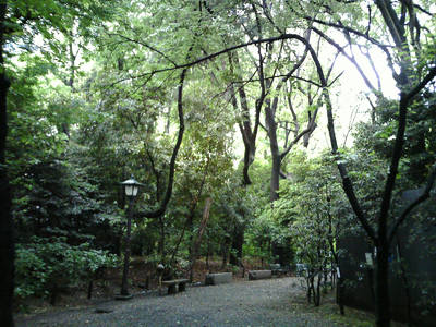 PICT0018-90.jpg