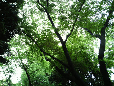 PICT0019-24.jpg