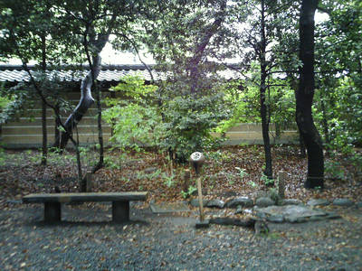 PICT0021-12.jpg