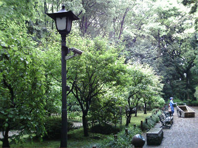 PICT0023-06.jpg
