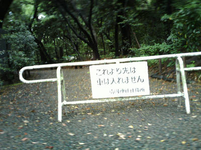 PICT0028-36.jpg