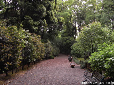 R0010287.jpg