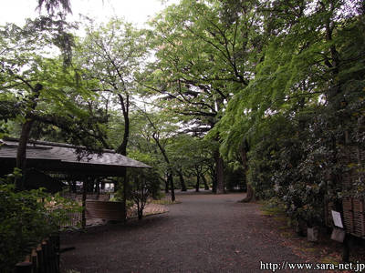 R0010298.jpg