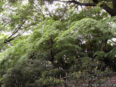 R0010304.jpg