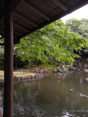 R0010306.jpg