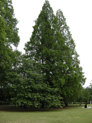 DSCN0721.jpg