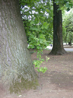 DSCN0723.jpg
