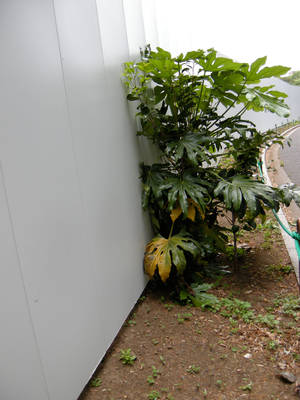 DSCN0724.jpg